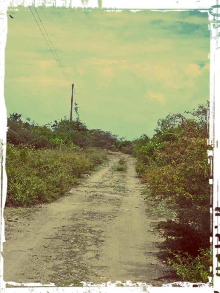 island dirt road_WWLOR