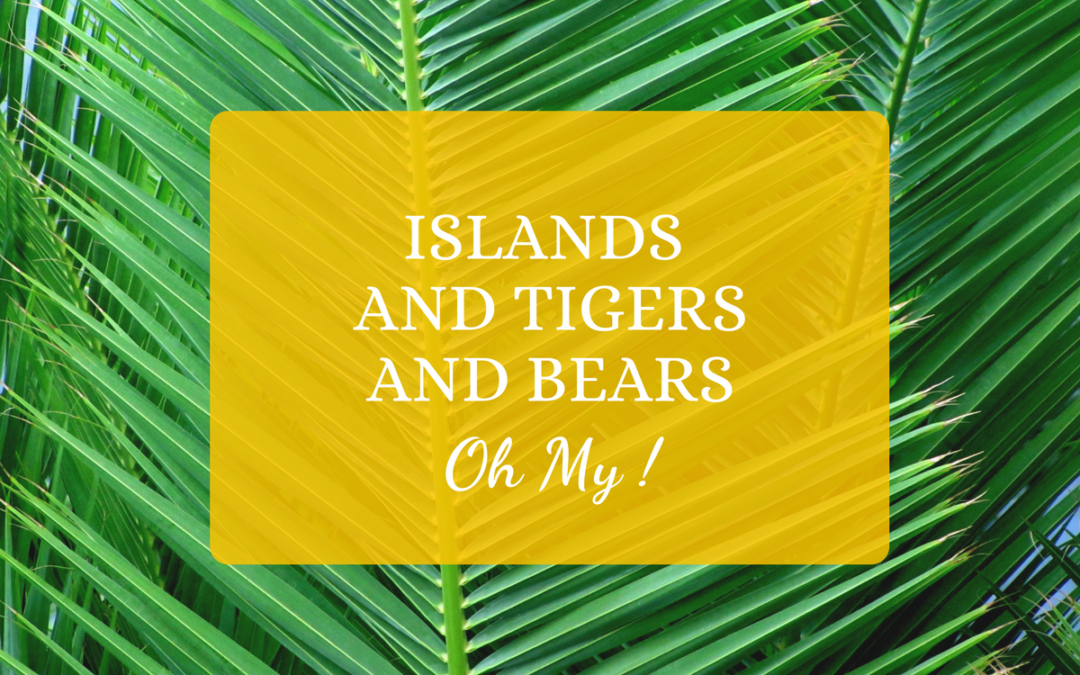 Islands and Tigers and Bears, Oh My!