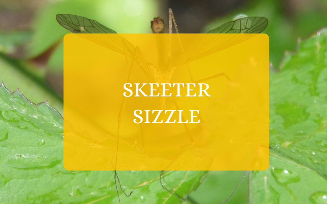Skeeter Sizzle