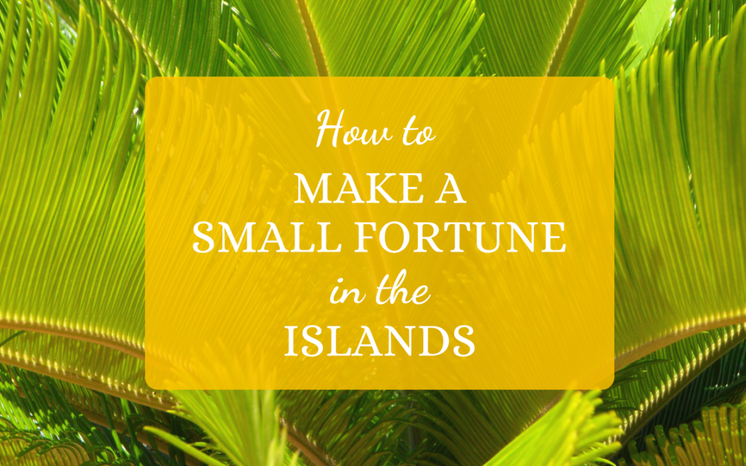 How to Make a Small Fortune in the Islands