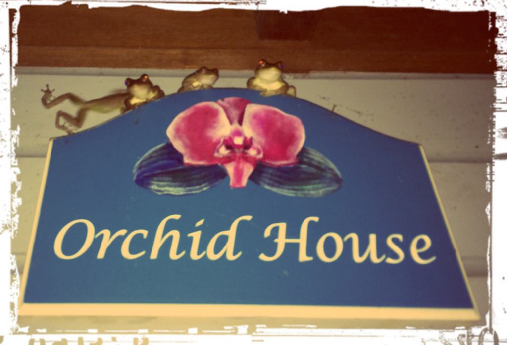 orchidhousefrogsblogedit