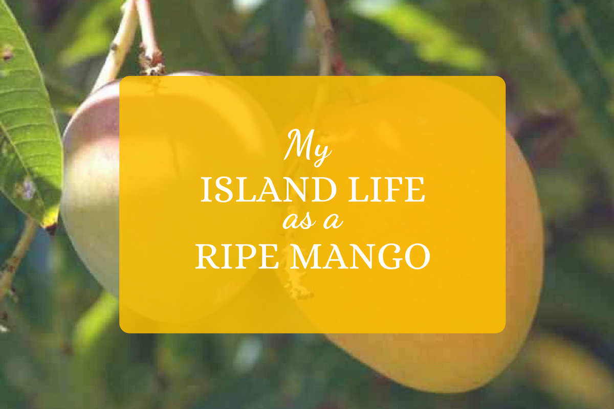 My Island Life as a Ripe Mango