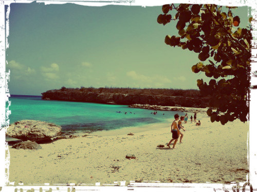 Curacao beach_WWLOR