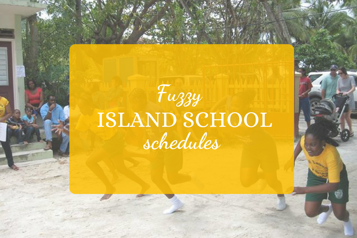 Fuzzy Island School Schedules