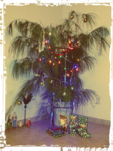 island christmas tree_WWLOR