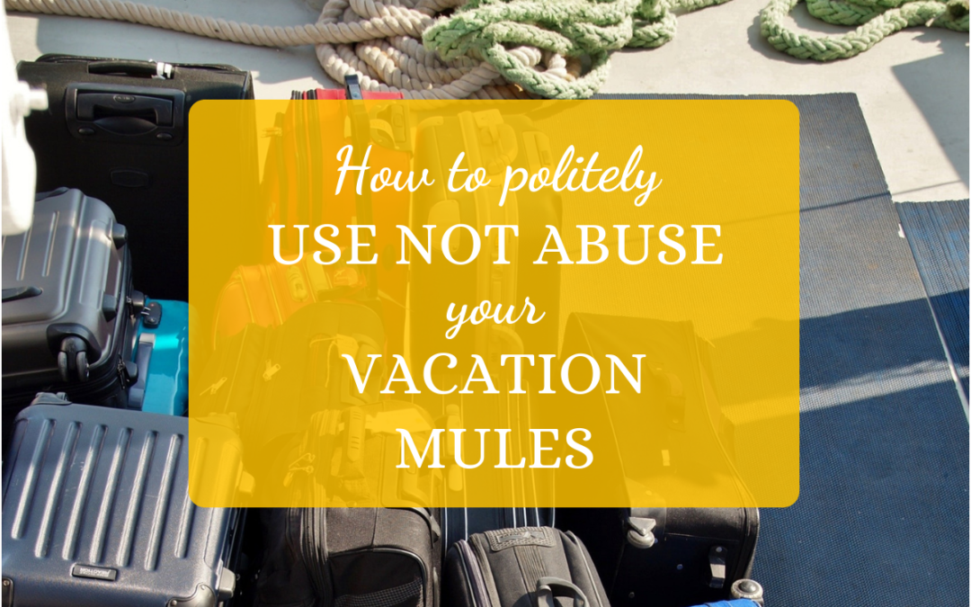 How to Politely Use – Not Abuse – Your Vacation Mules