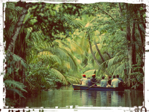 Dominica river tour