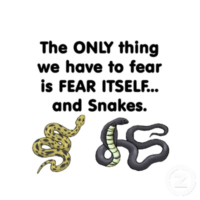 snake fear meme