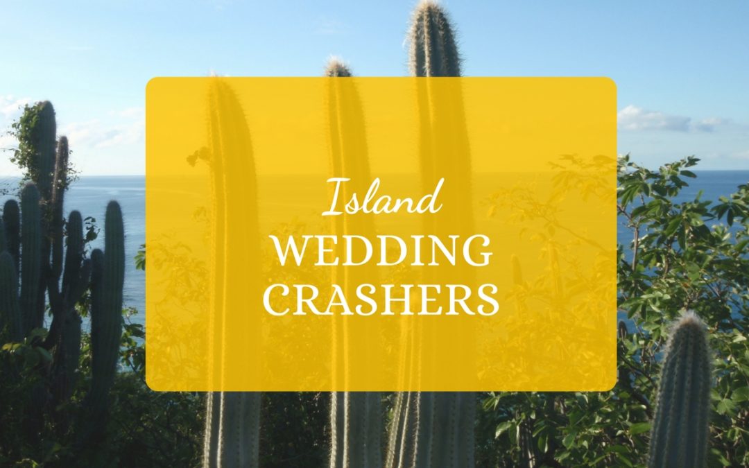 Island Wedding Crashers