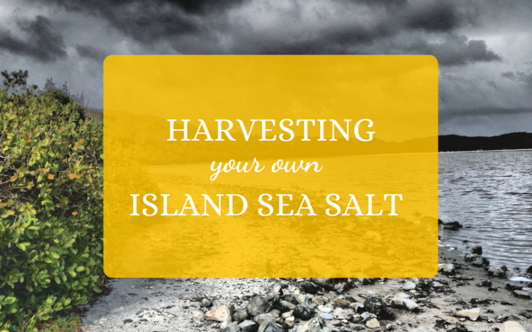 Harvesting Your Own Island Sea Salt