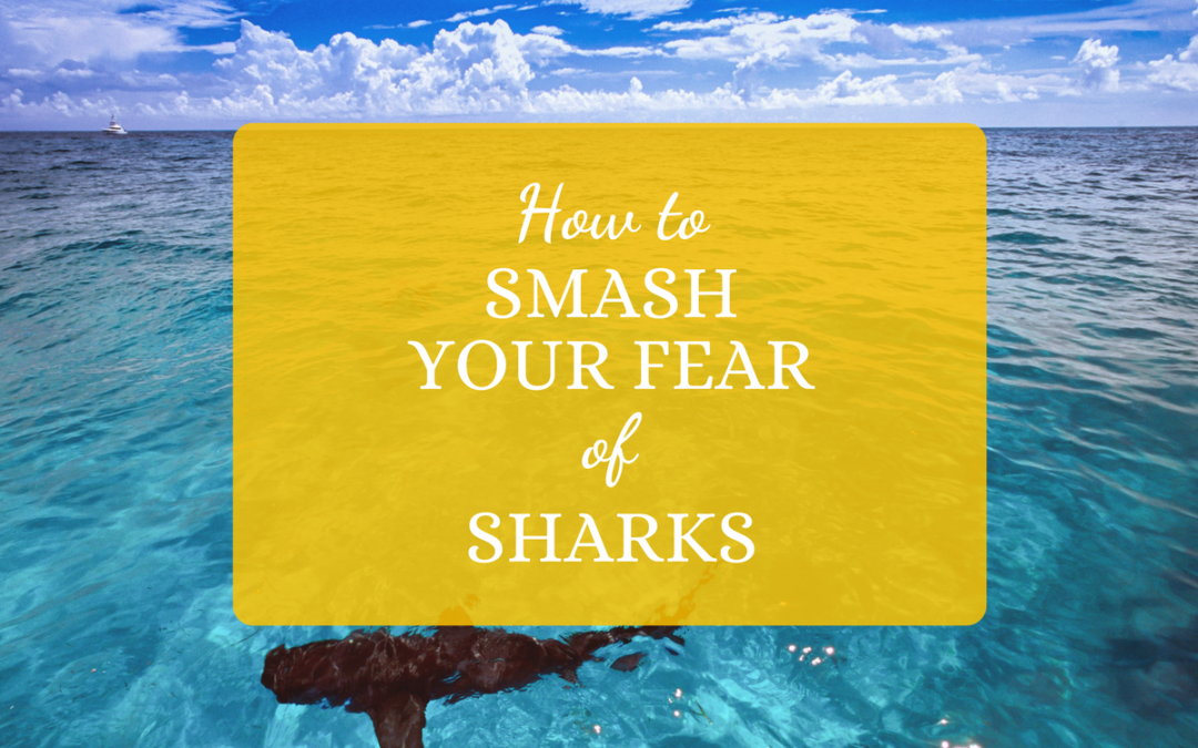How to Smash Your Fear of Sharks