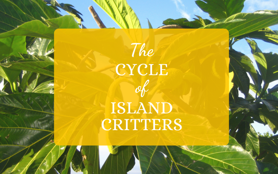 The Cycle of Island Critters