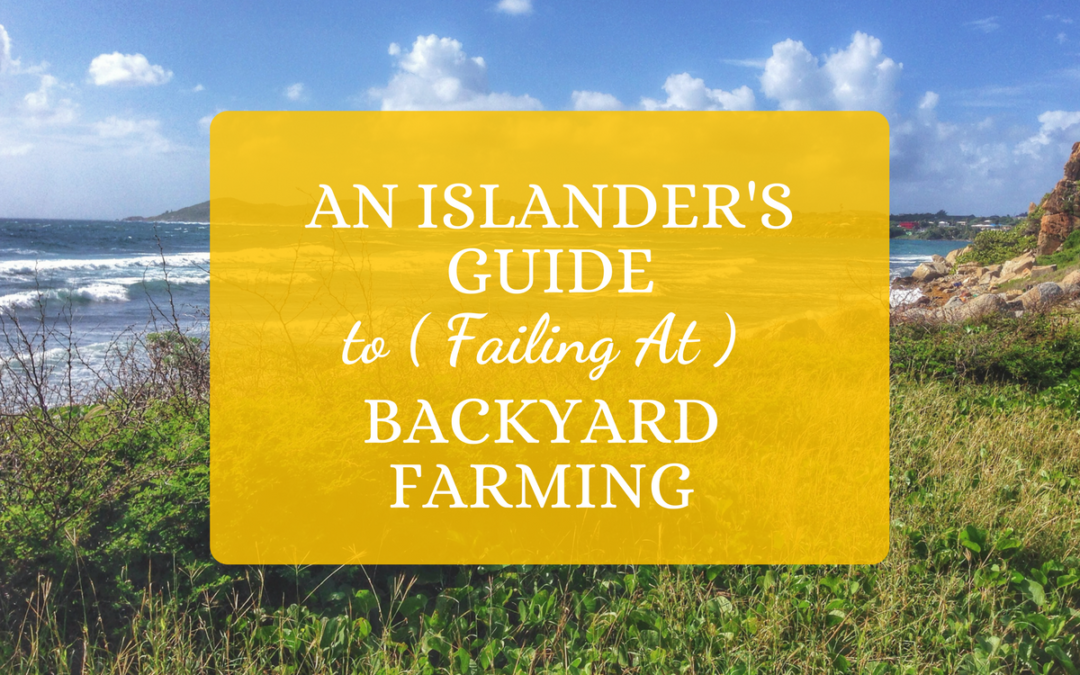 An Islander’s Guide To (Failing At) Backyard Farming