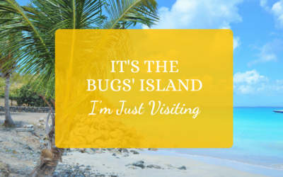 It’s the Bugs’ Island, I’m Just Visiting