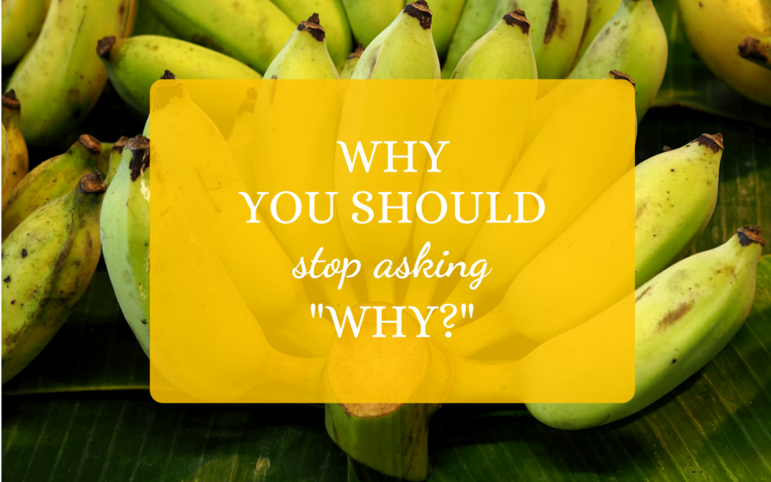 Why You Should Stop Using the Word “Why.”