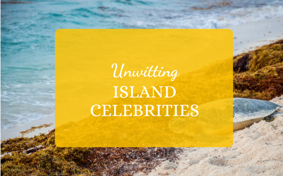 Unwitting Island Celebrities