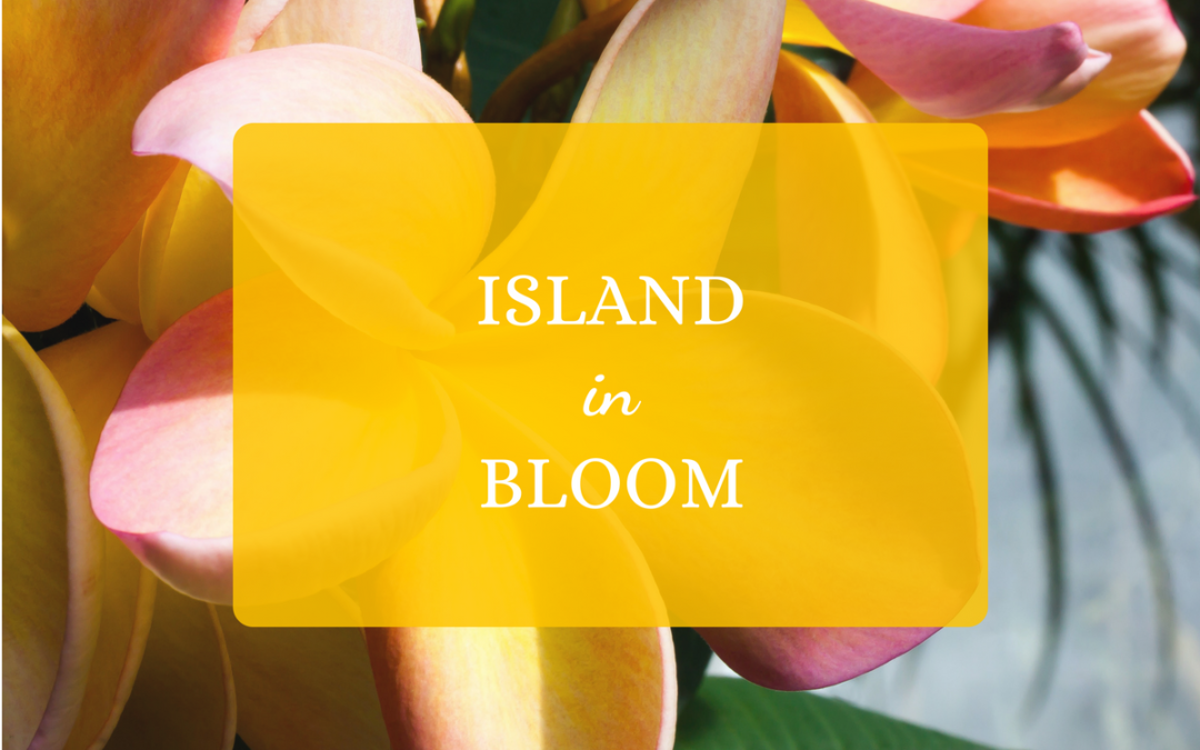 Island in Bloom