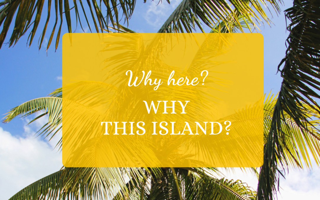 Why Here? Why This Island?