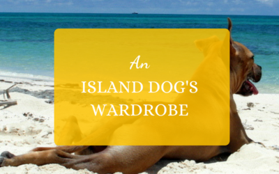 An Island Dog’s Wardrobe