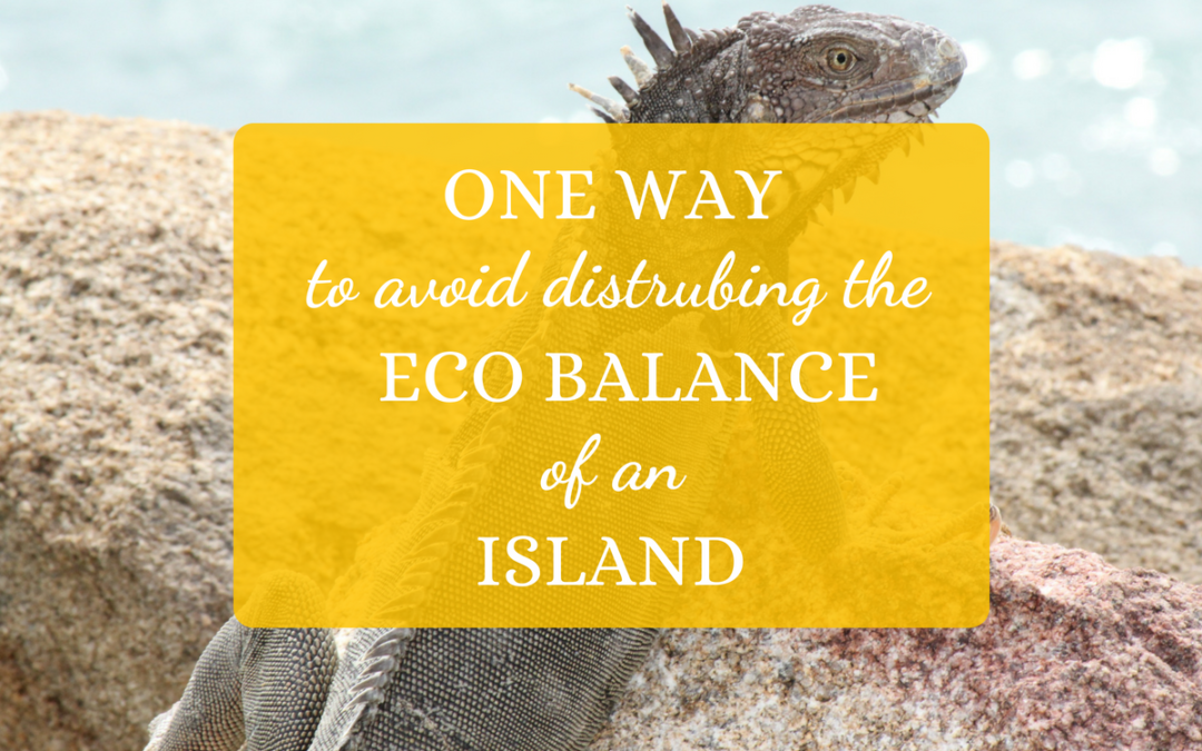 One Way to Avoid Disturbing the Eco Balance of an Island