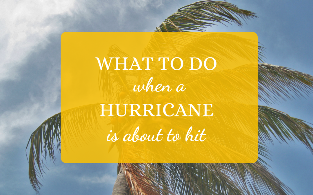 What To Do When A Hurricane Is About To Hit