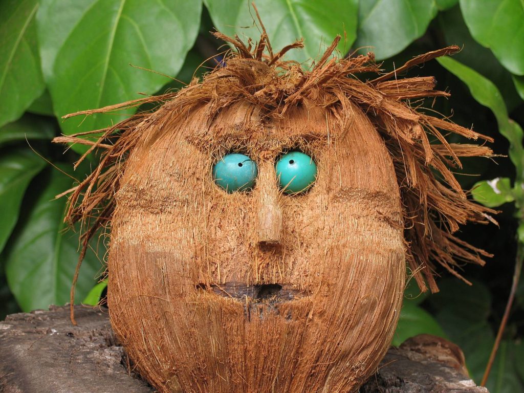 crazy coconut face carving coconuts