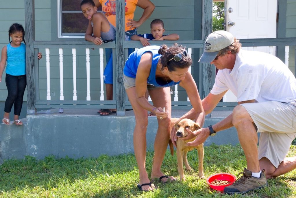 feeding rescue dogs potcakes Bahamas North Abaco