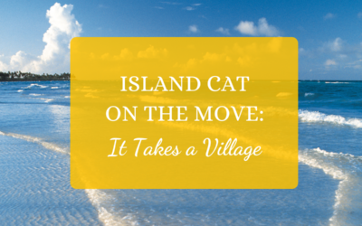Island Cat on the Move: It Takes A Village