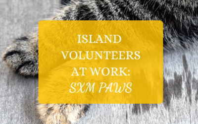 Island Volunteers at Work: SXM Paws