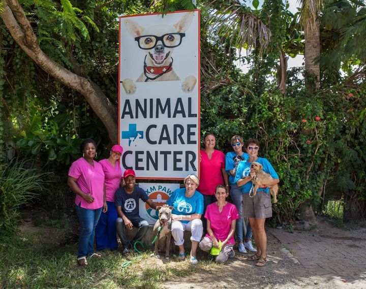 island life volunteering SXM PAWS rescue organization Caribbean island dogs cats women who care