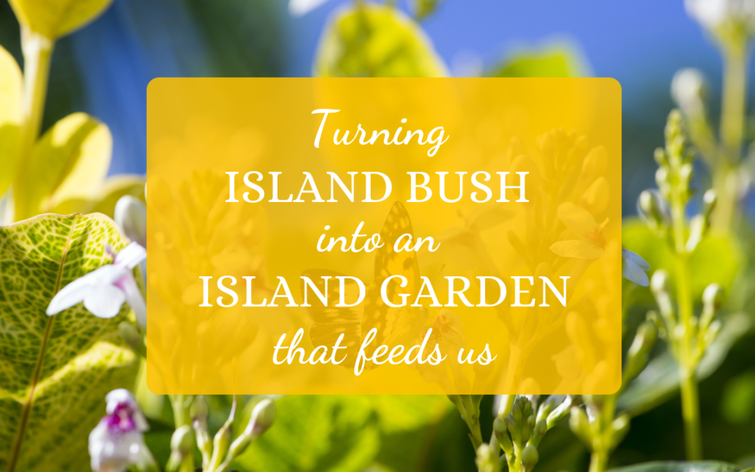 Turning Island Bush Into An Island Garden That Feeds Us
