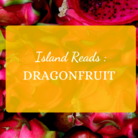 Dragonfruit book island reads reading books Hawaii Hawaiian writers writer Malia Mattoch McManus historical fiction