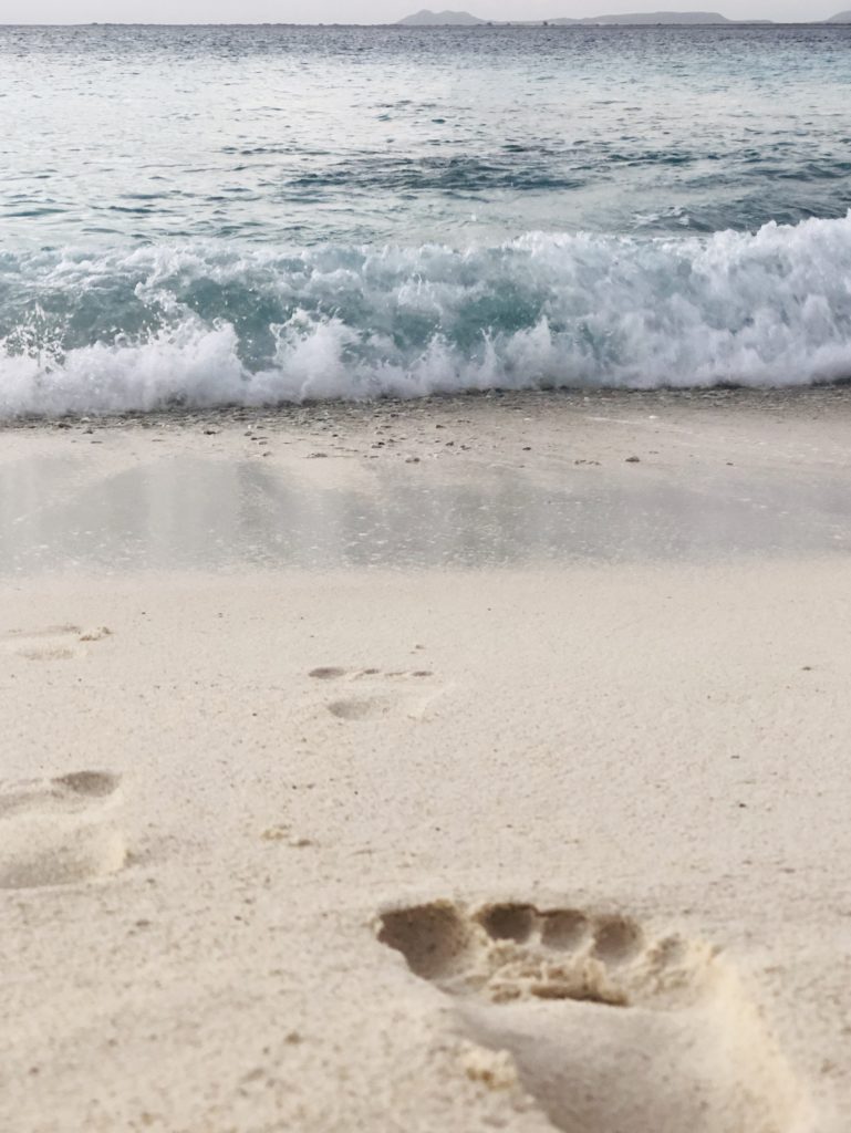 barefoot beach walk footprints in the sand island life Bonaire