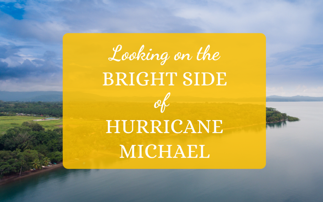 Looking on the Bright Side of Hurricane Michael