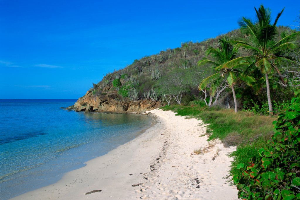 BVI beach Tortola Virgin Islands white sand Nature's Little Secrets