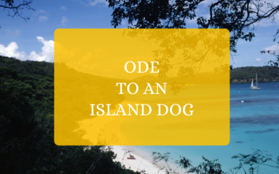 Ode to an Island Dog