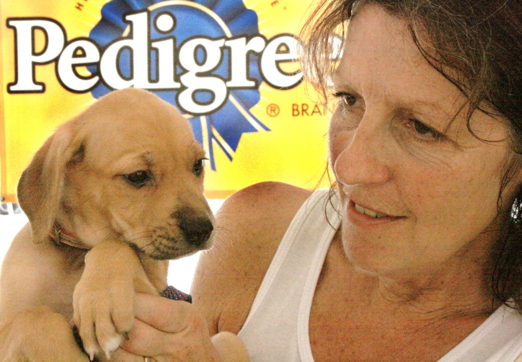 Susan Blehr TCSPCA Turks and Caicos animal rescue island dog show