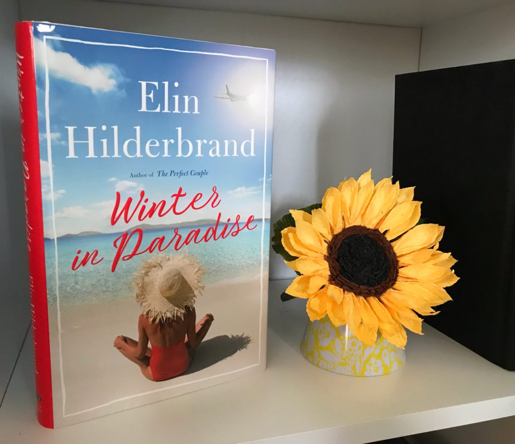 island book beach reads Winter in Paradise Elin Hilderbrand
