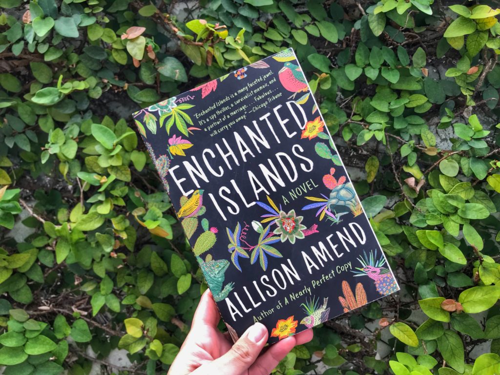 Enchanted Islands by Allison Amend island book beach reads