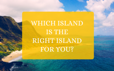 Which Island is the Right Island for You?