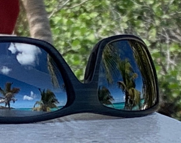 sunglasses with palm trees