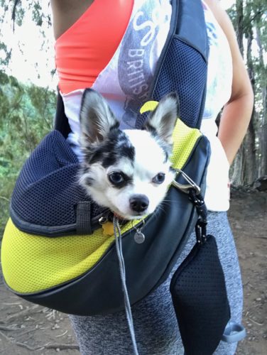 dog sling carrier for hiking with small dogs