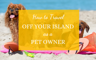 How to Travel Off Your Island as a Pet Owner
