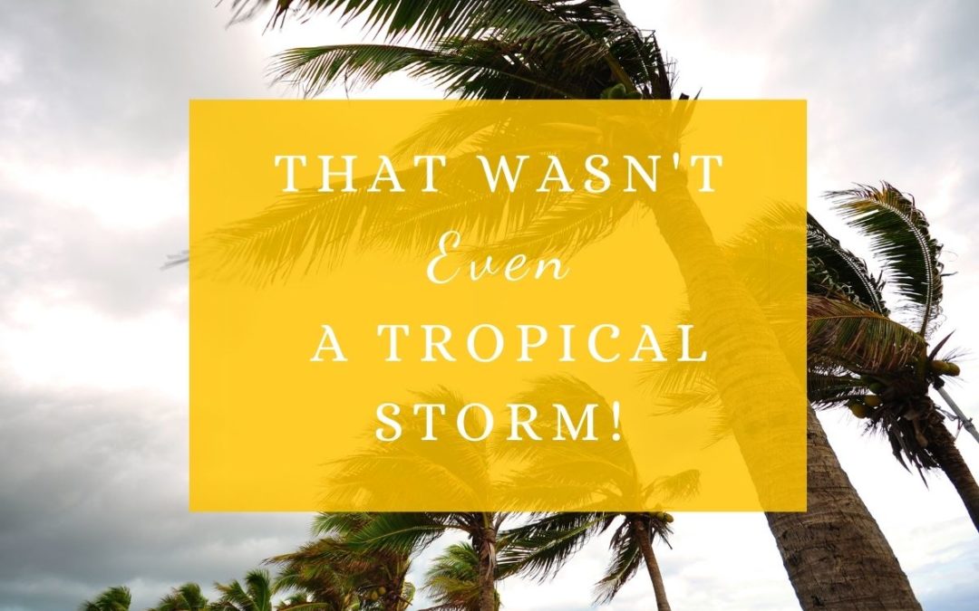 That wasn’t even a tropical storm!