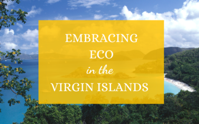 Embracing Eco in the Virgin Islands