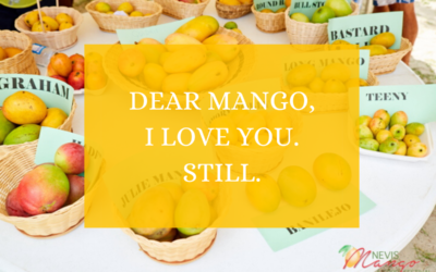 Dear Mango, I Love You. Still.