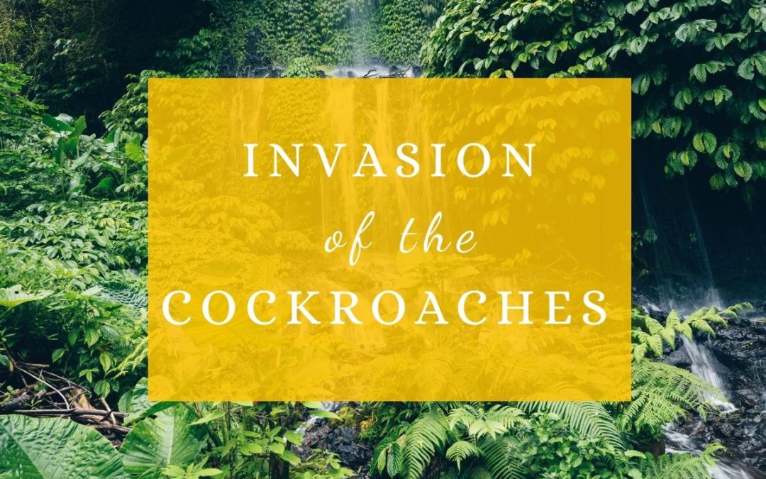 Invasion of the Cockroaches