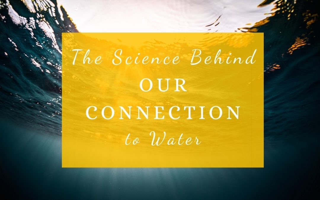 The Science Behind Our Connection to Water