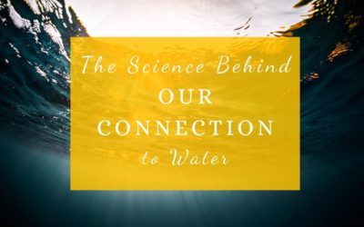 The Science Behind Our Connection to Water
